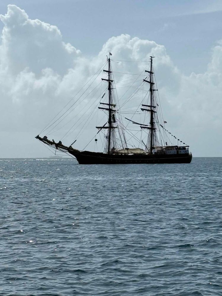 Voyage photo from Swimming pools to Salardup