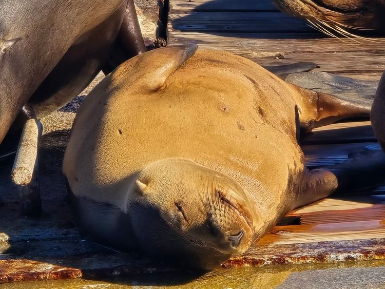 Voyage photo from sp3 with Amy on 648