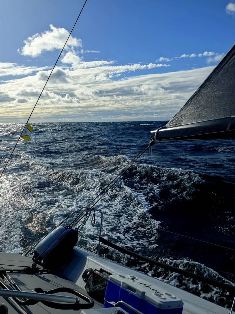 Voyage photo from Port Stephens to Sydney