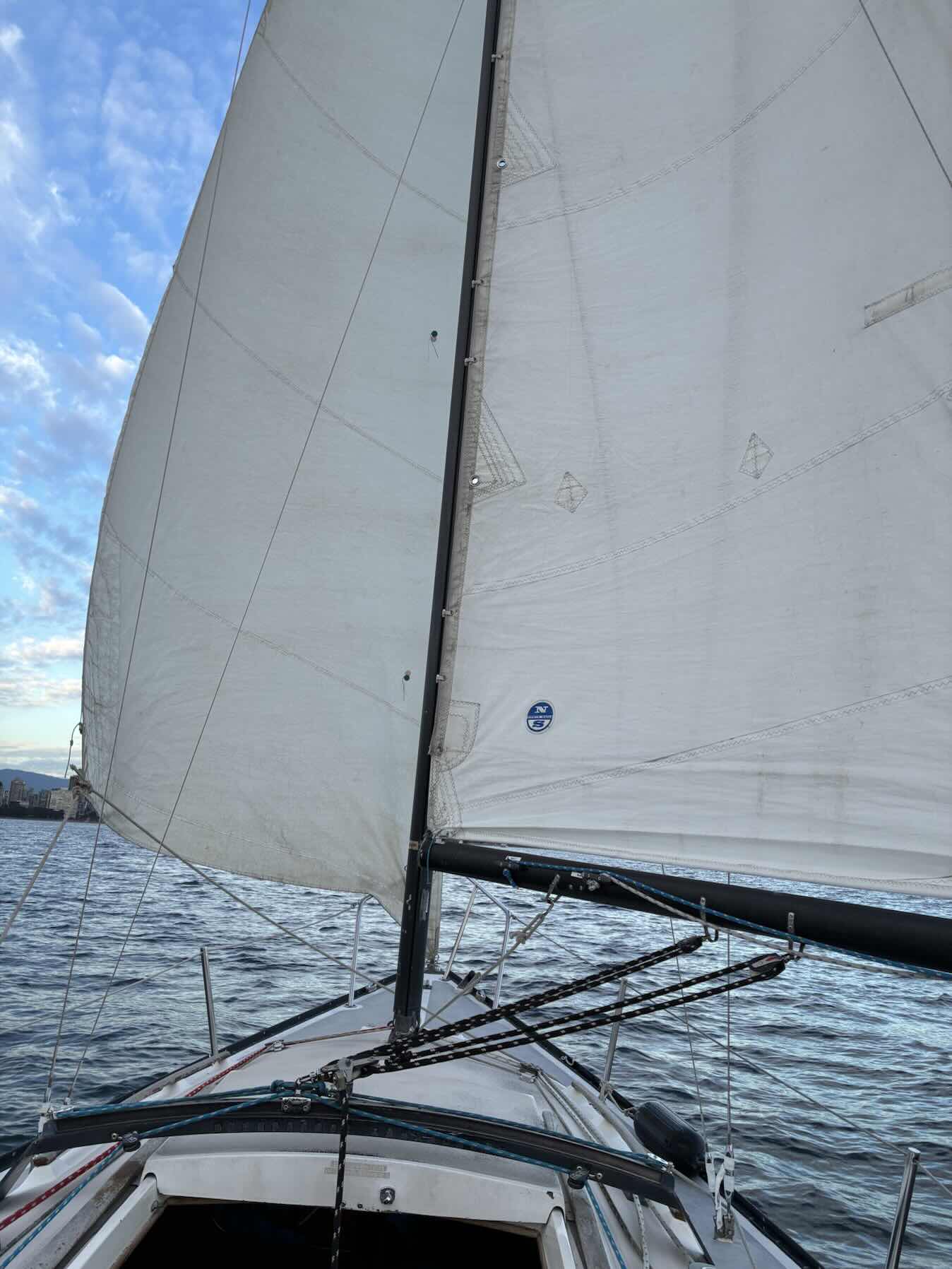 That Sail Hit Doe_364349E3-AED7-425A-B8DE-F511C058FA6B
