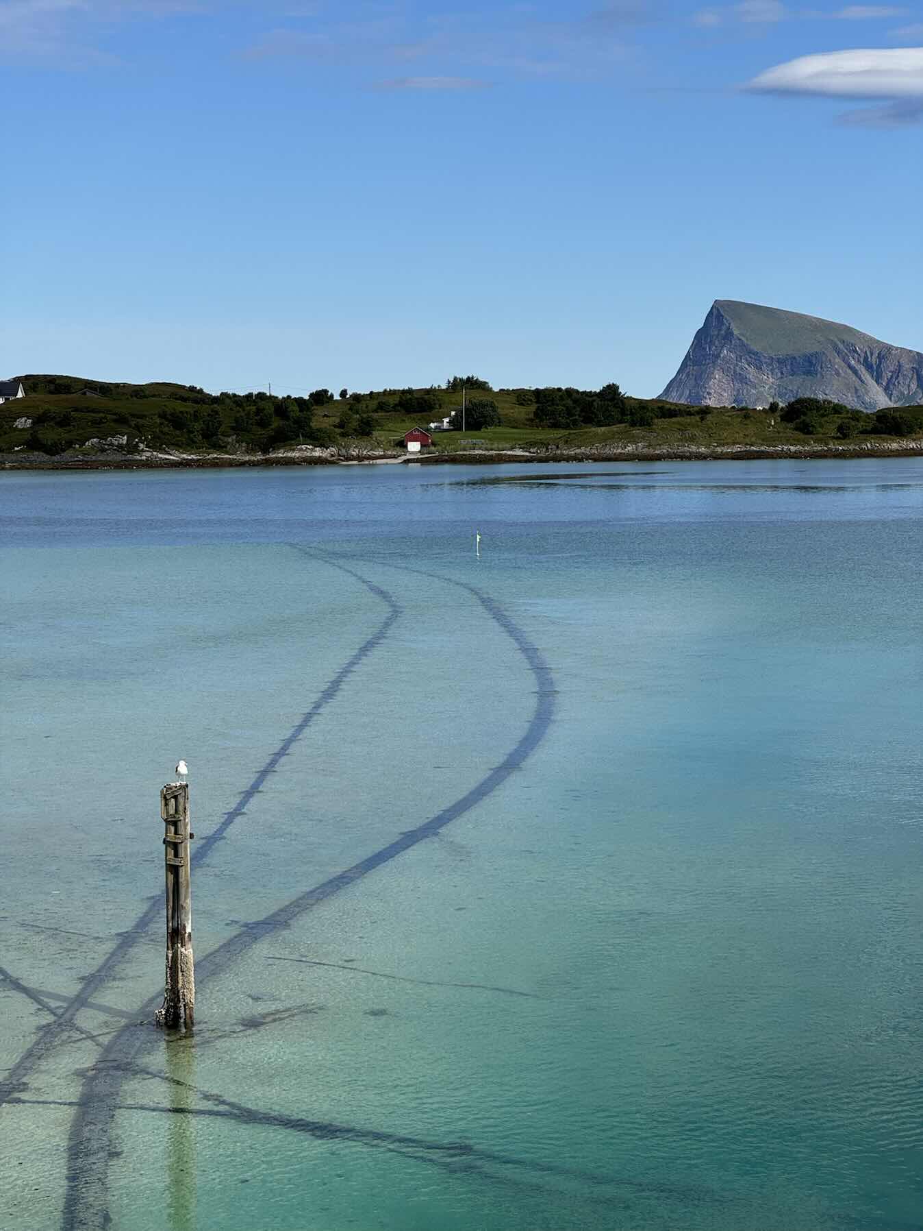 Sommarøy to Tromsø_D7B2D41D-7BCA-4E72-9D01-33CB5A3D7D68