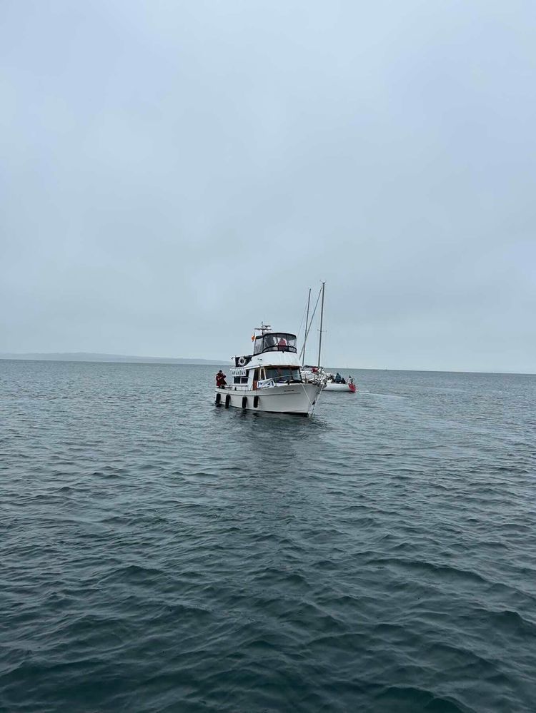 Voyage photo from STYC Snowbird Series Race 4 on Zephyr