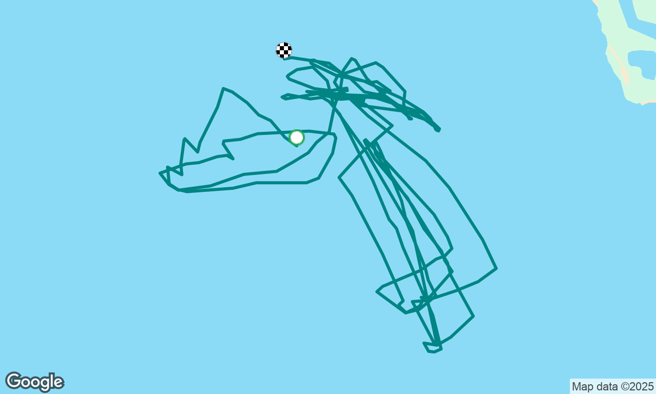National Yacht Club Open Regatta 2023