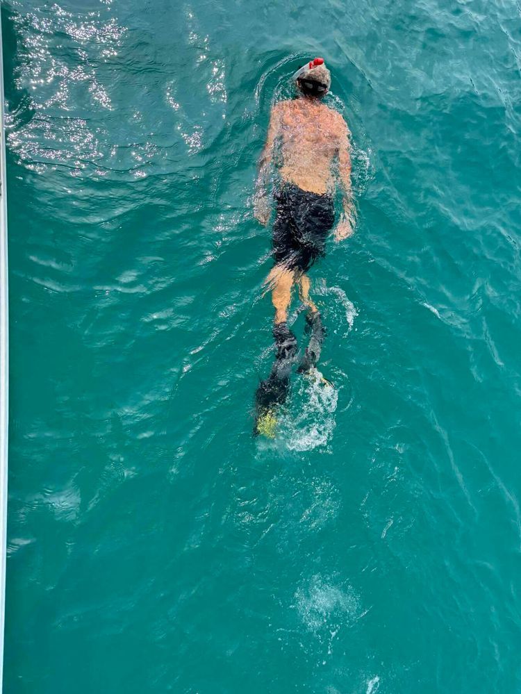 Voyage photo from Relocation 