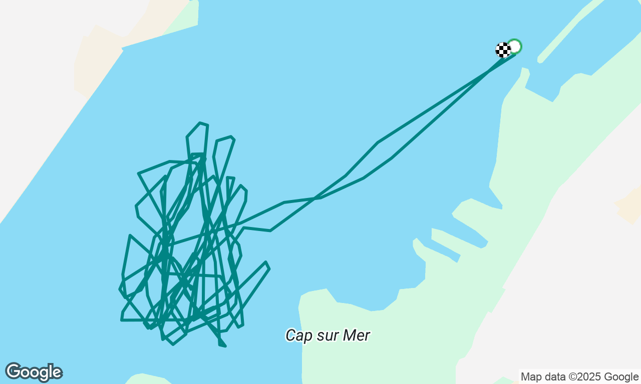 Sortie niveau 1 | Ohana Sailing