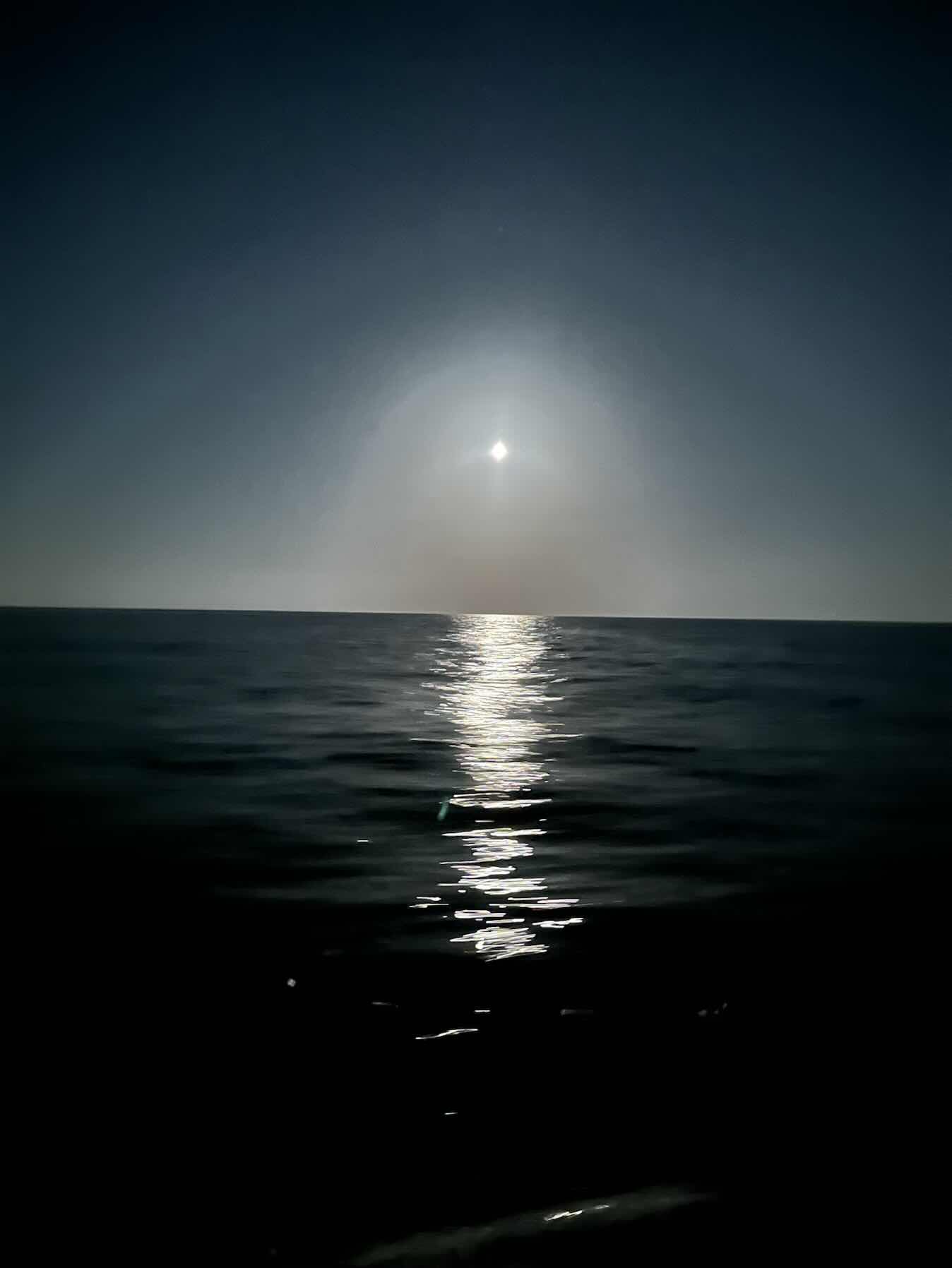 Wales, Ireland, Isle of Scilly and Cornwall 2025_D729B527-89C2-4534-8518-B546B8A681EB