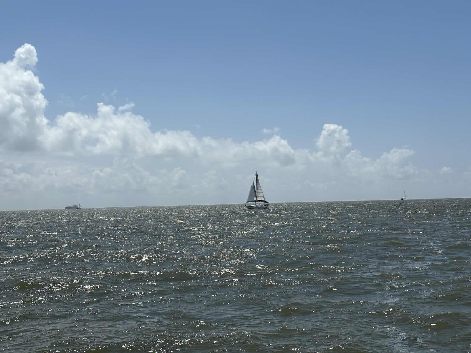  Charter with Bay Area Sailing School_4CB647DD-AEC2-4BE1-B01B-38B40927CC3A