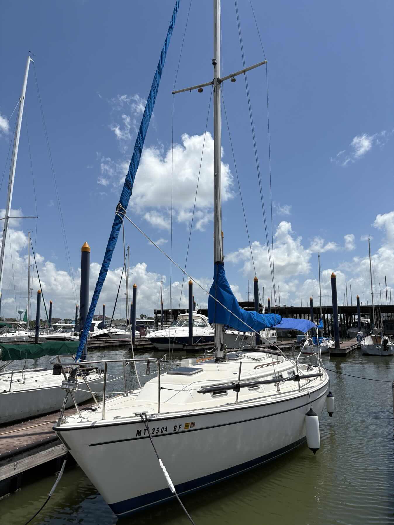  Charter with Bay Area Sailing School_191D5E65-17AC-429B-8692-A372EFD85CA9