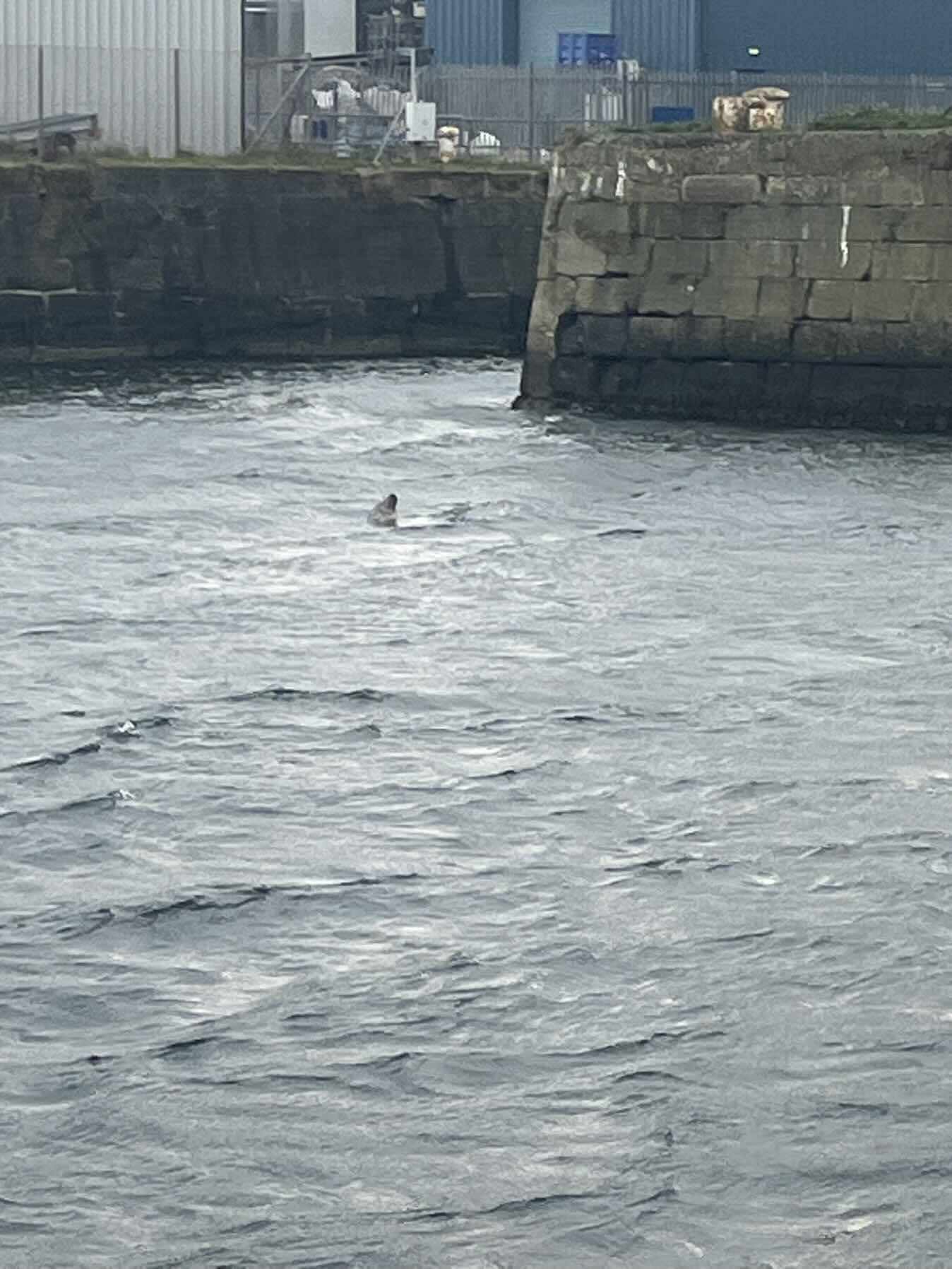 Largs to Dublin Day 1_BDDF31C7-496A-4D0F-BE4B-5B1A149DE391