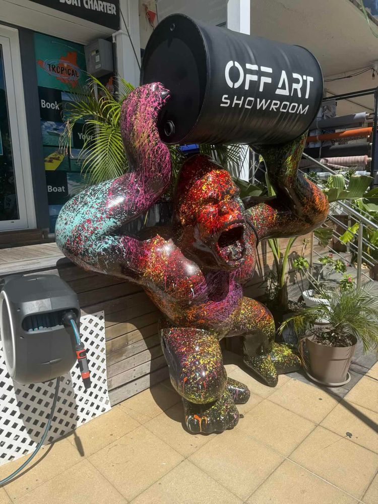 Voyage photo from Return to the Mothership for the 1st passage