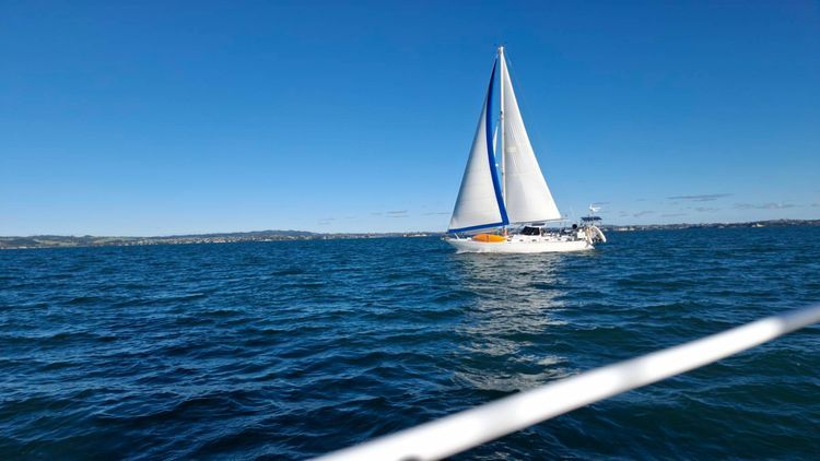 Voyage photo from Around Motuihi Island