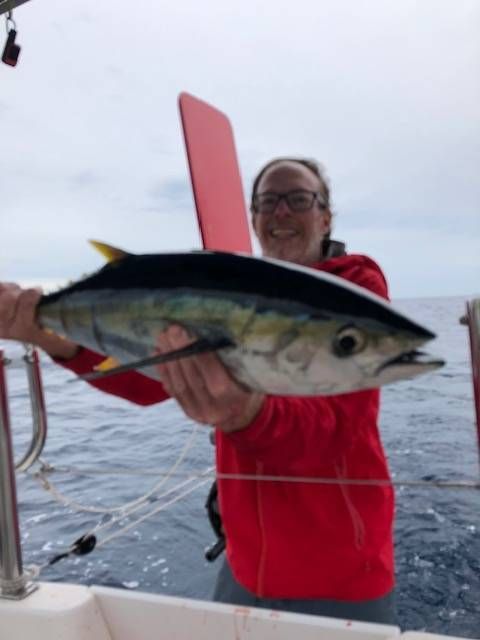 Voyage photo from Cabo San Lucas -Frailes 