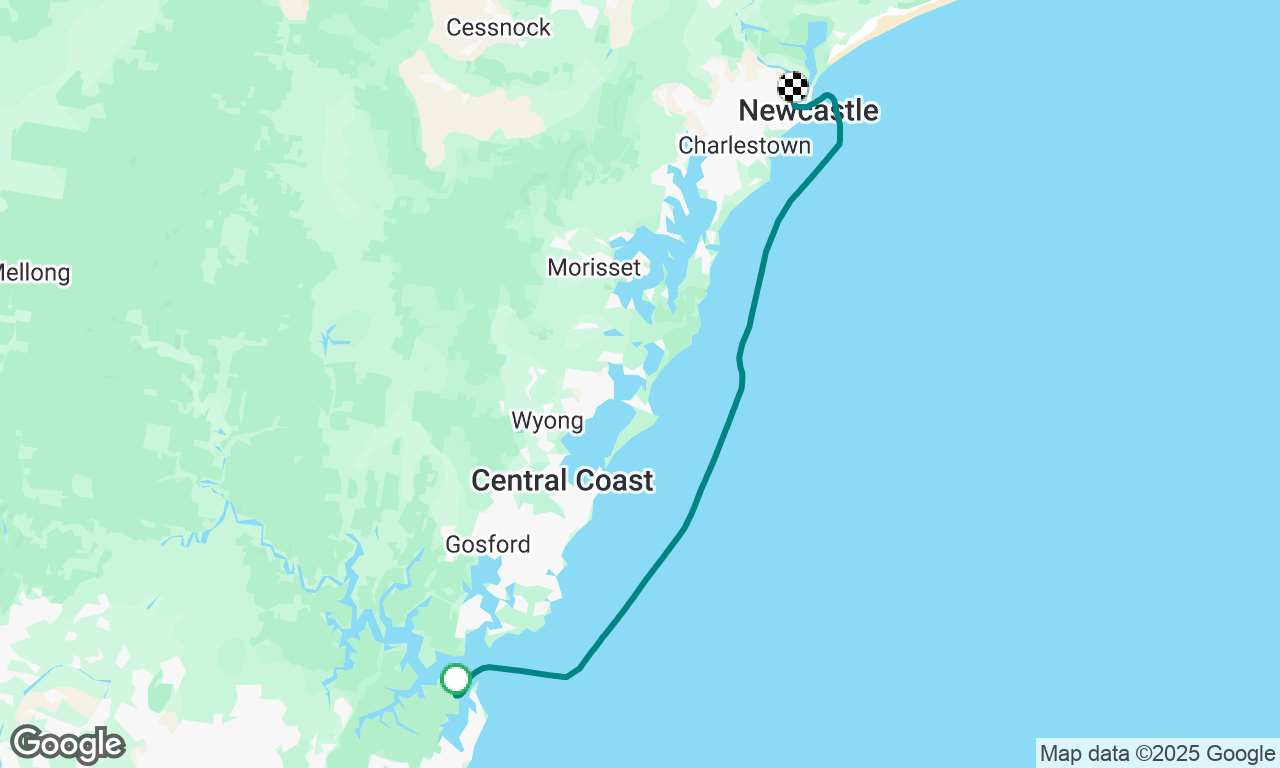 Rough seas many whales good swell direction top speed 11+knts