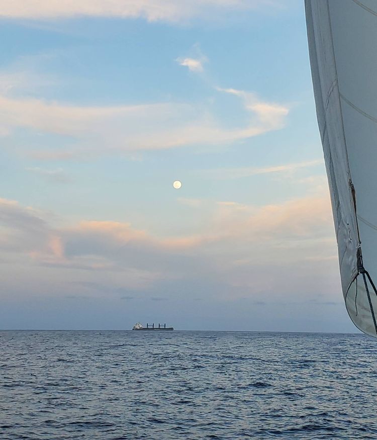 Voyage photo from La Paz- Zihuatanejo 