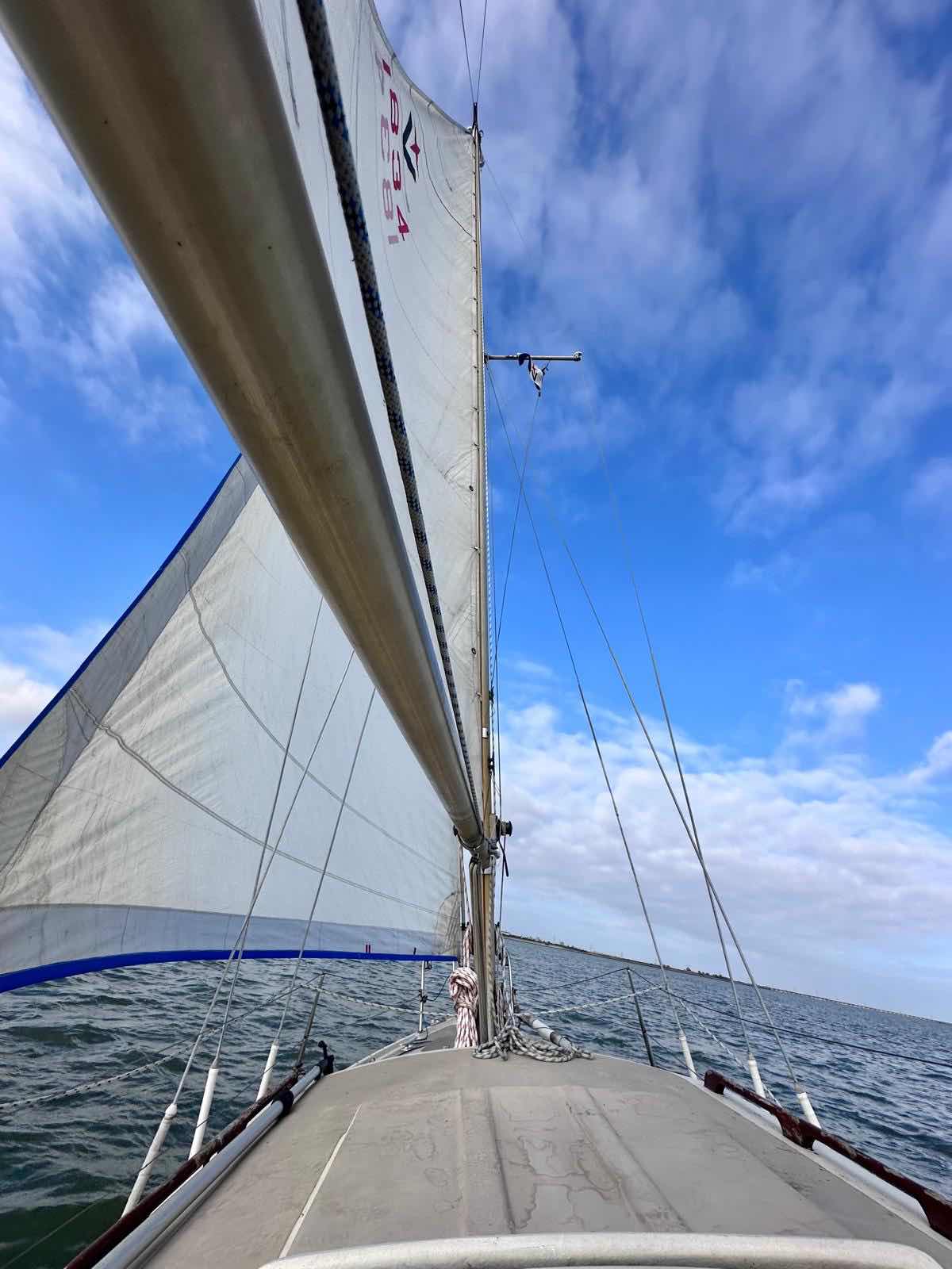 Voyage_2B399EEB-29F9-4E80-B7DD-6CCC3AADC3F2