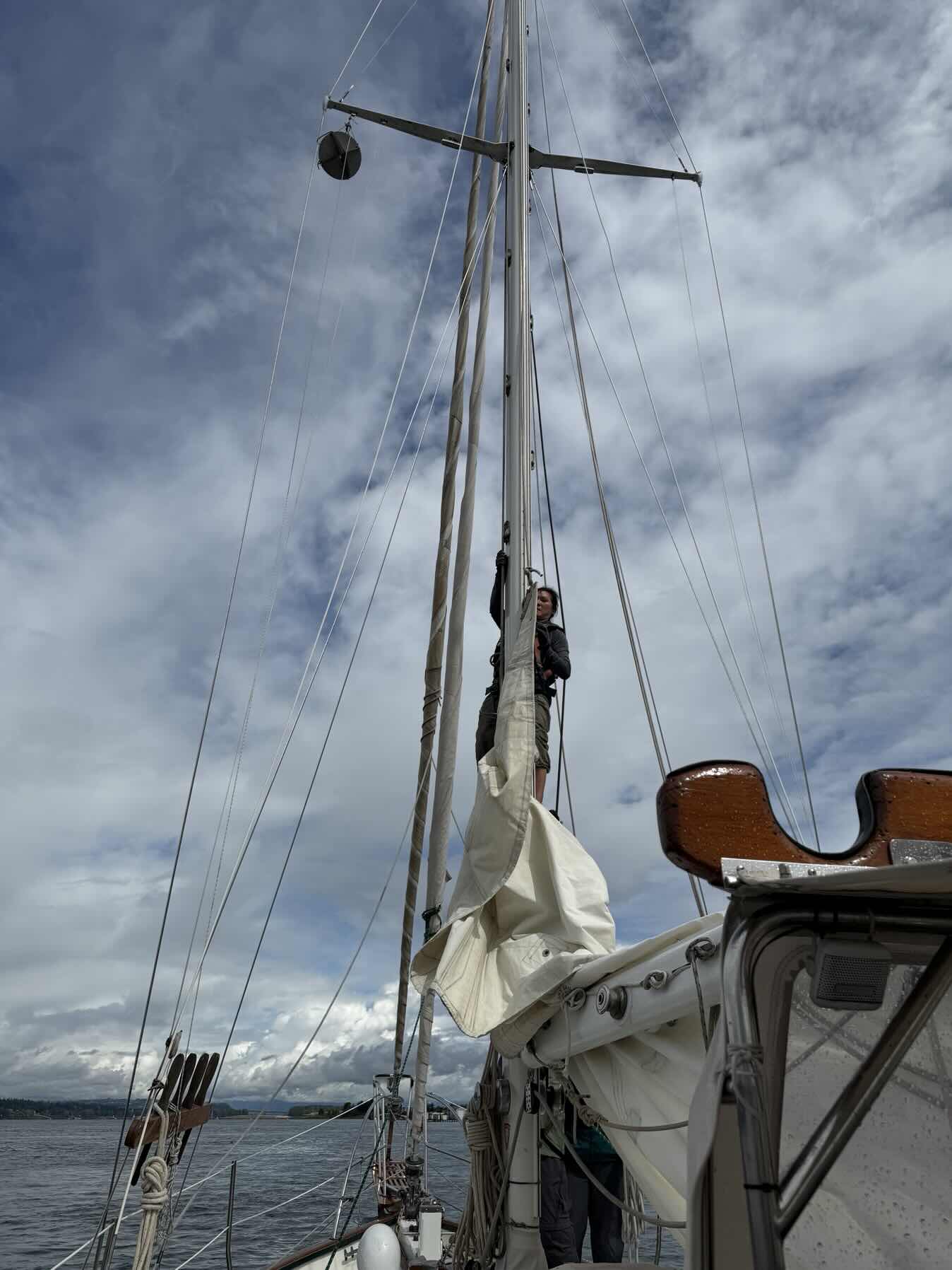 OWSA Saturday Sail_AFA85EC8-F326-4A56-8E92-6DB69FA86984