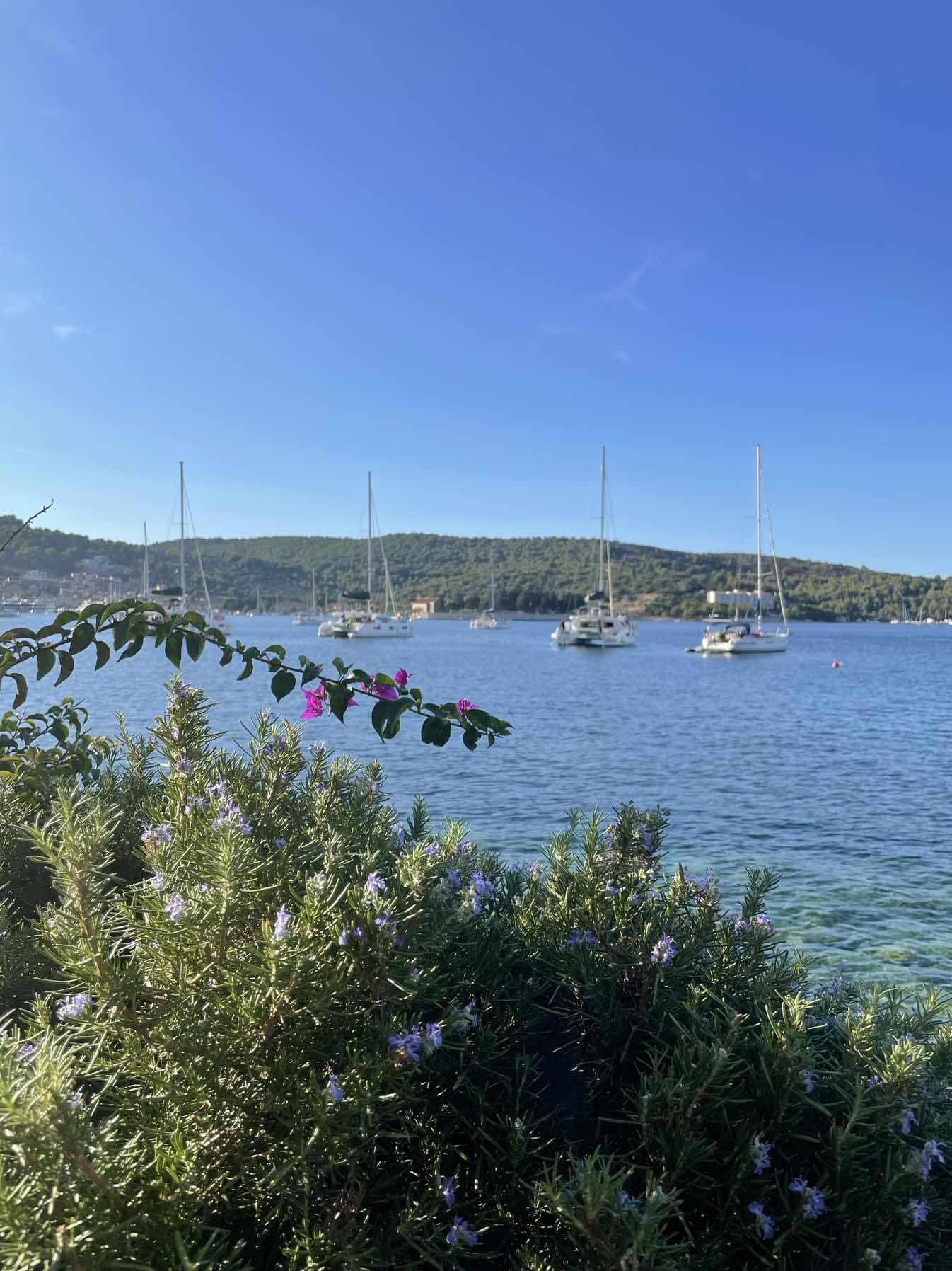 Croatia v3.0 - Sčedro to Vis_245DDE3A-B649-41F9-9B5D-19091B04361B