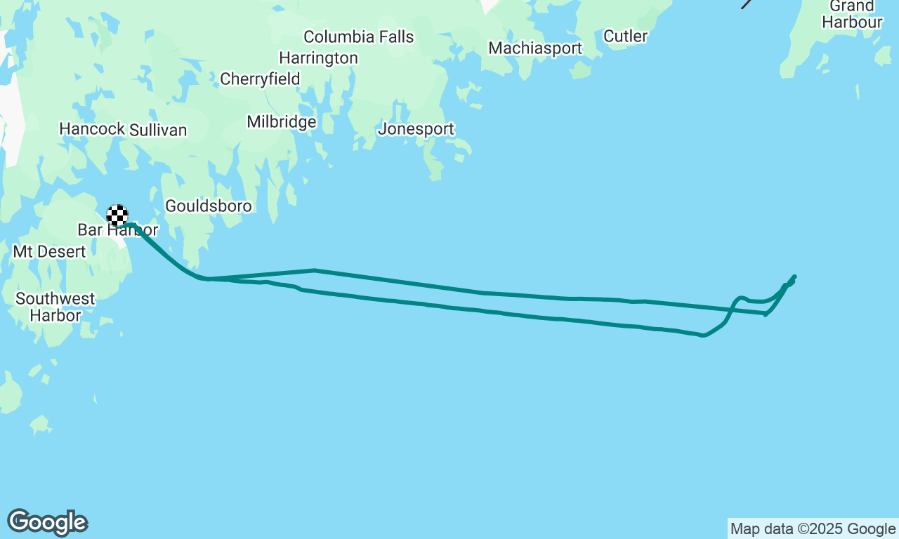 Whale watch