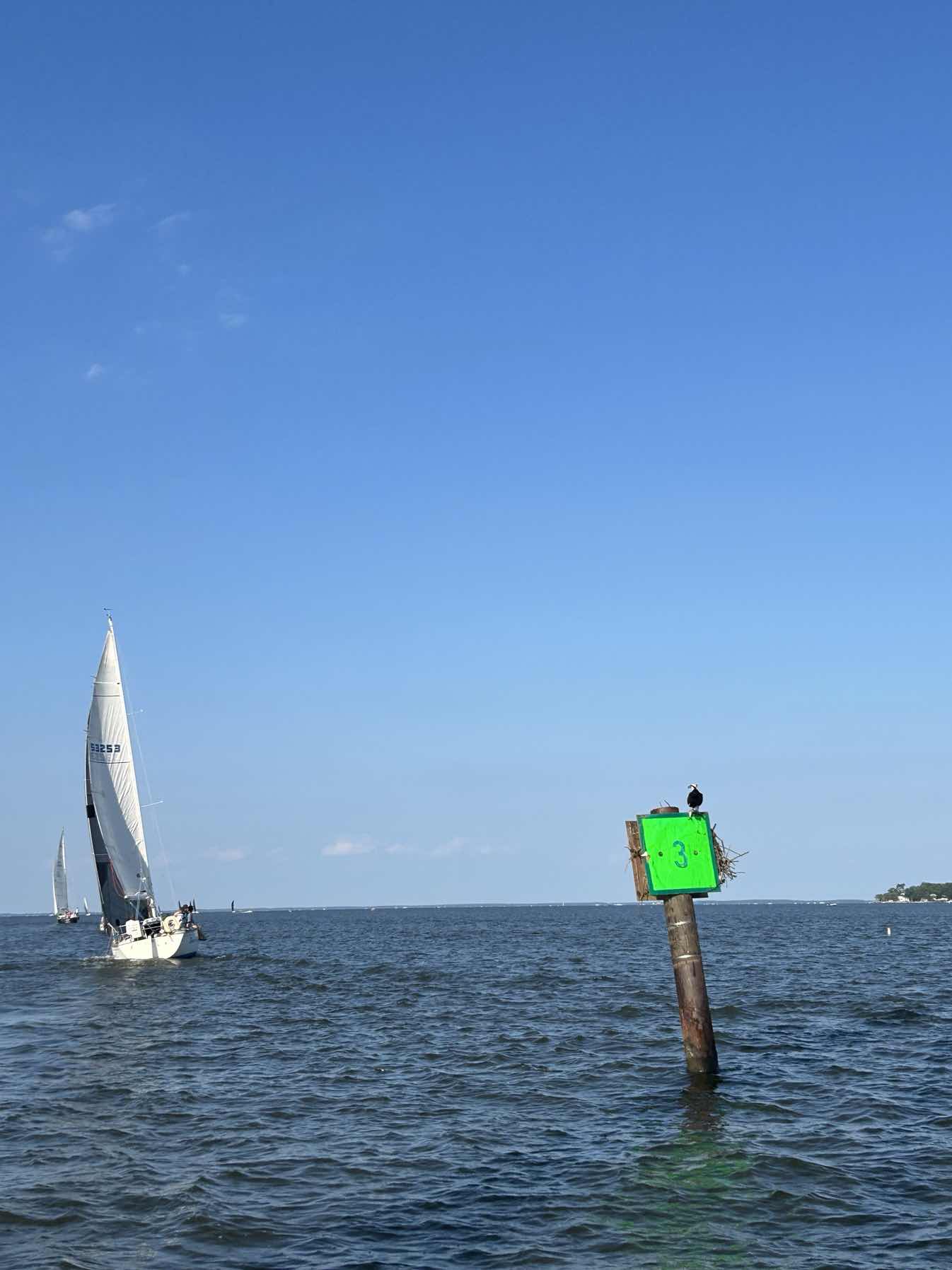 pirates cove race 6/12/24_B3B765A8-9501-4921-A7A8-4A7A30FCCC17
