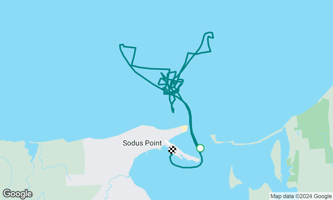 Ragatta Sodus chaser 29