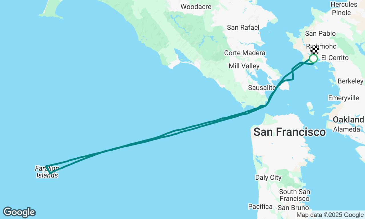 White Shark Cage Diving, The Farallons