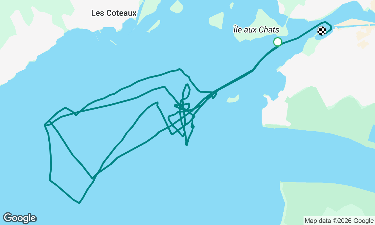 Course Porto - CVSF