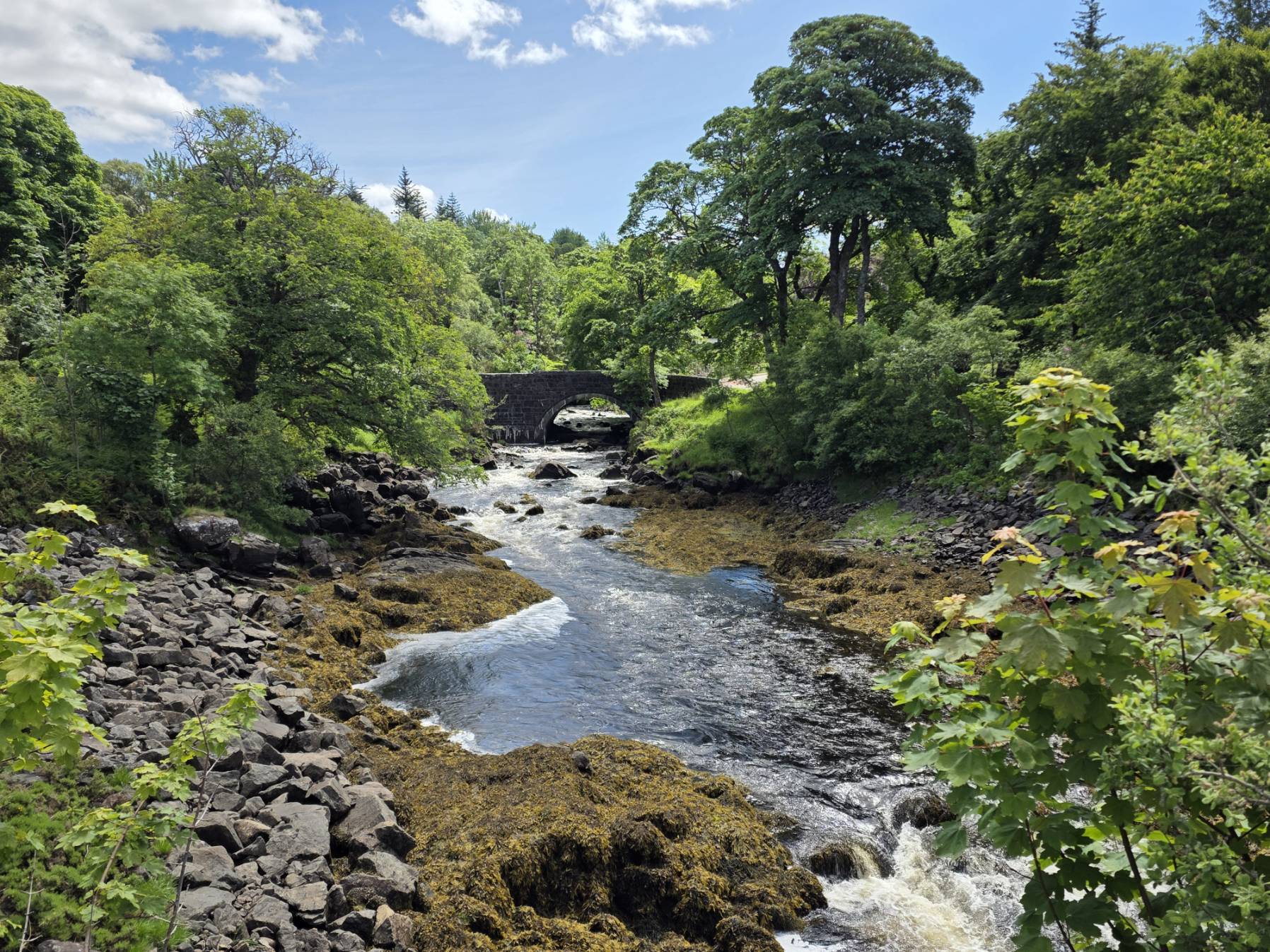 Loch Nedd to Lochinver_6483702A-7BFA-45BF-829D-588A6B0D912E