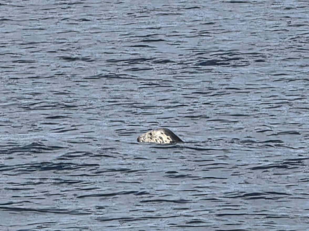 Loch Nedd to Lochinver_DCB40F9B-5B67-46BE-909C-12BF0ED495B4