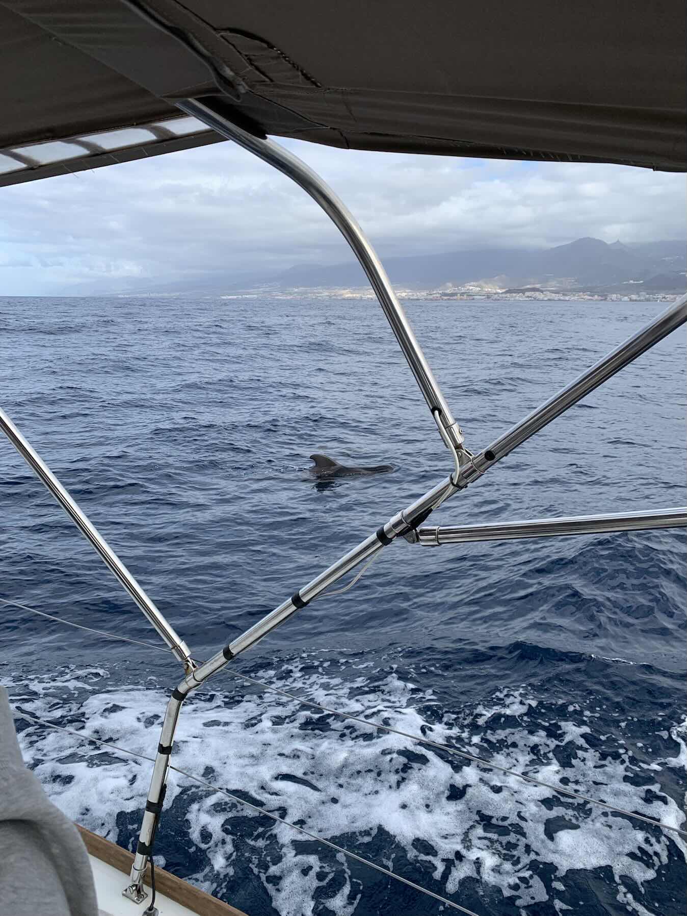 Explore Canary Islands Ian 2026_2CA4F88F-683F-45DA-9A6B-D508BAD1991F