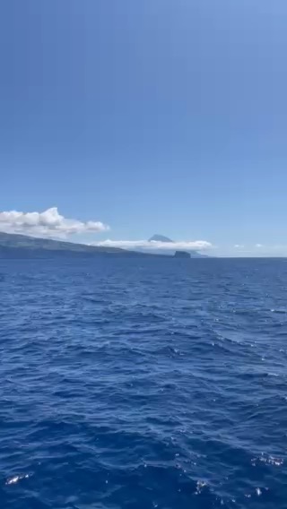 Flores (Lajes) à Faial (Horta)_005FEF1C-73F3-4FDD-9909-EF742F77A640