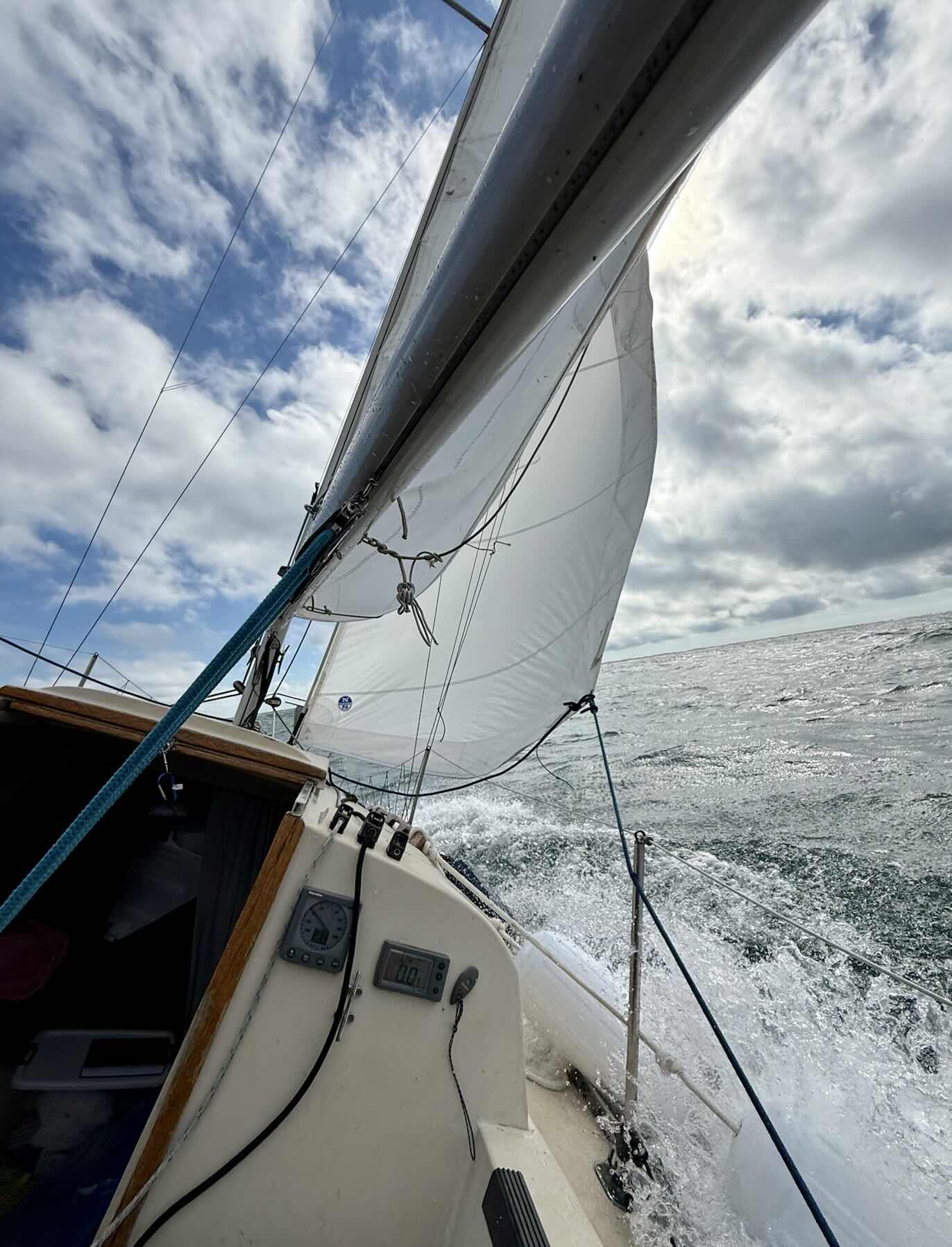 Oui Oui Captain! _A65D7A18-3B85-4ABE-A338-7CB85CD31EE2