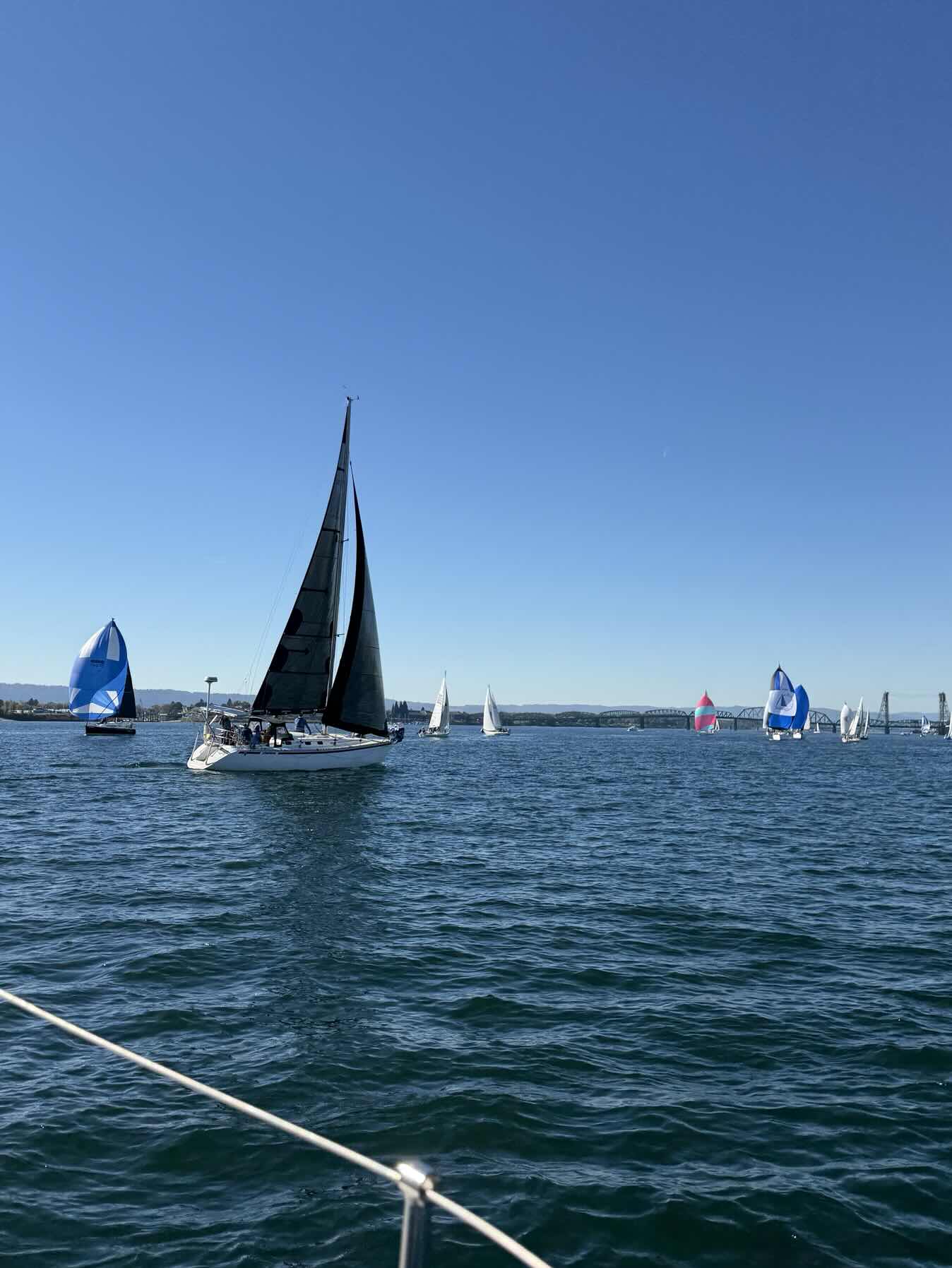 Sail on Sunday Race_B375C98F-5C8A-431F-AEF6-C600A9034883