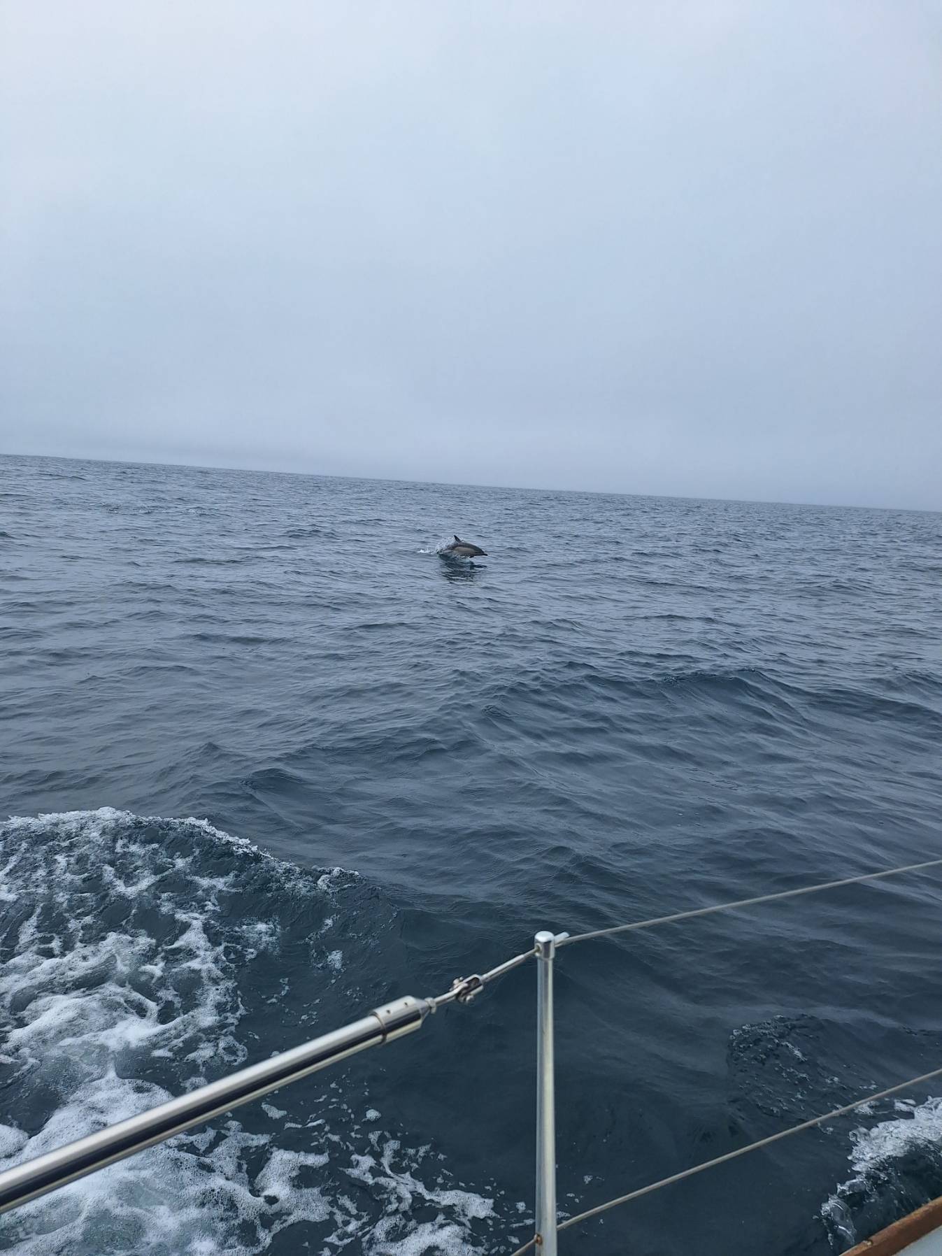 First sail to the Isles of Scilly 😃_64266CCD-DC4C-4B26-8AB5-8501F55F61EA
