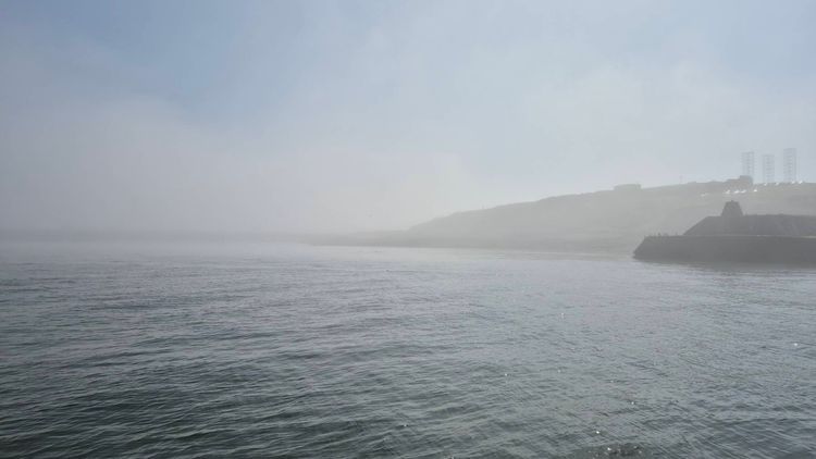 Voyage photo from Harbour Tour
