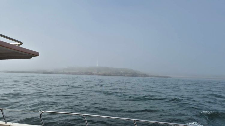 Voyage photo from Harbour Tour