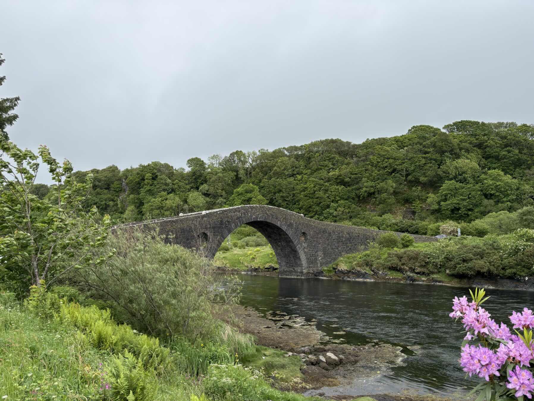 Loch Melfort to Puddle of the otter_75B8162F-A858-4752-85C4-6F8DD3ECC9DE
