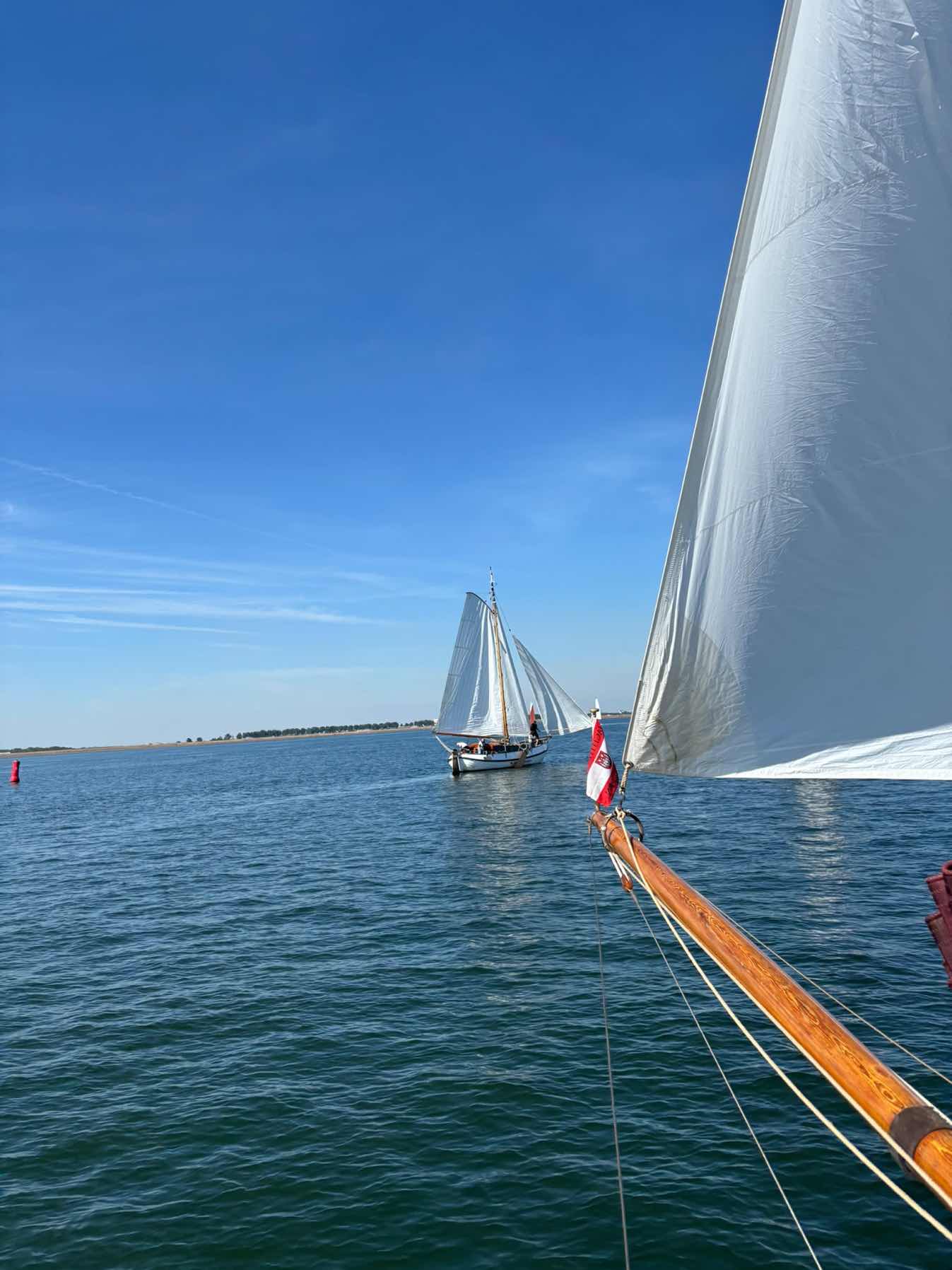 Mosselrace - DNF - no wind _D2ADC225-E4CA-4B5F-BCE6-534E5DB03F50