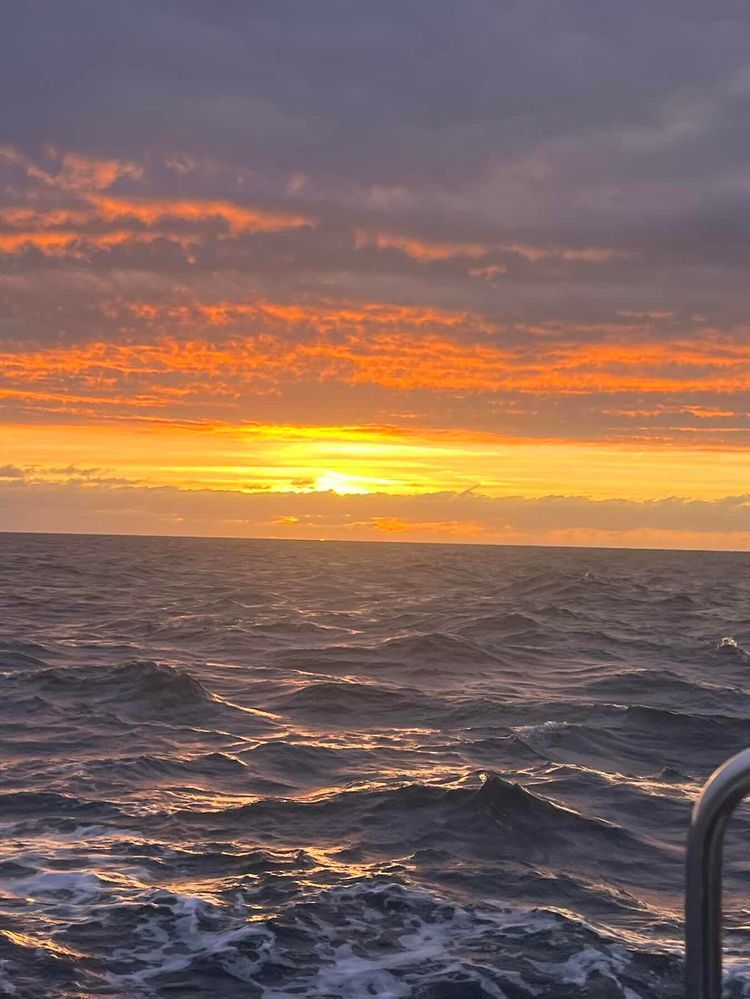 Voyage photo from Largs -Dublin. Last Day. 