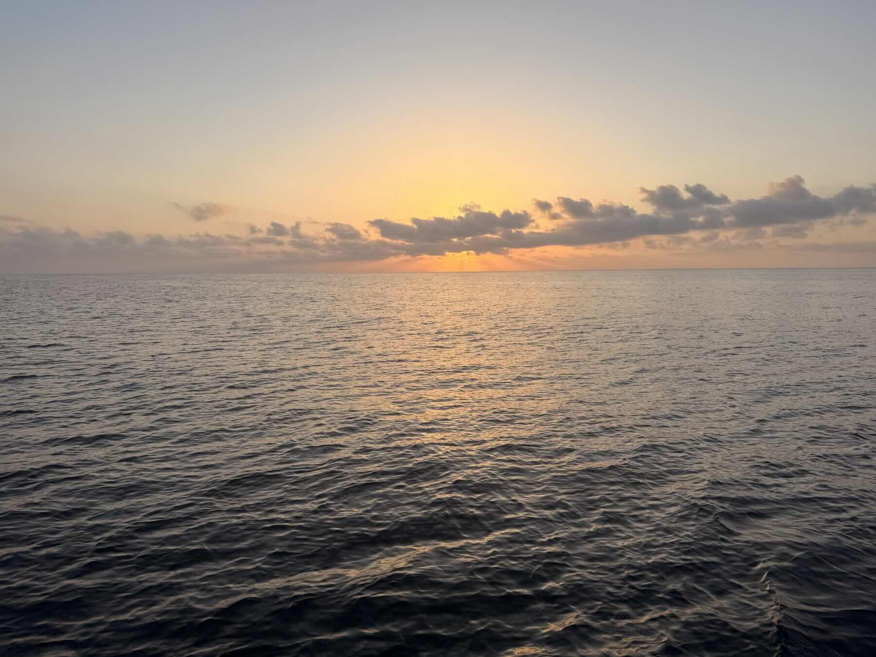 Voyage_0F844627-BD8E-400C-953B-F4C13A4DEE0D