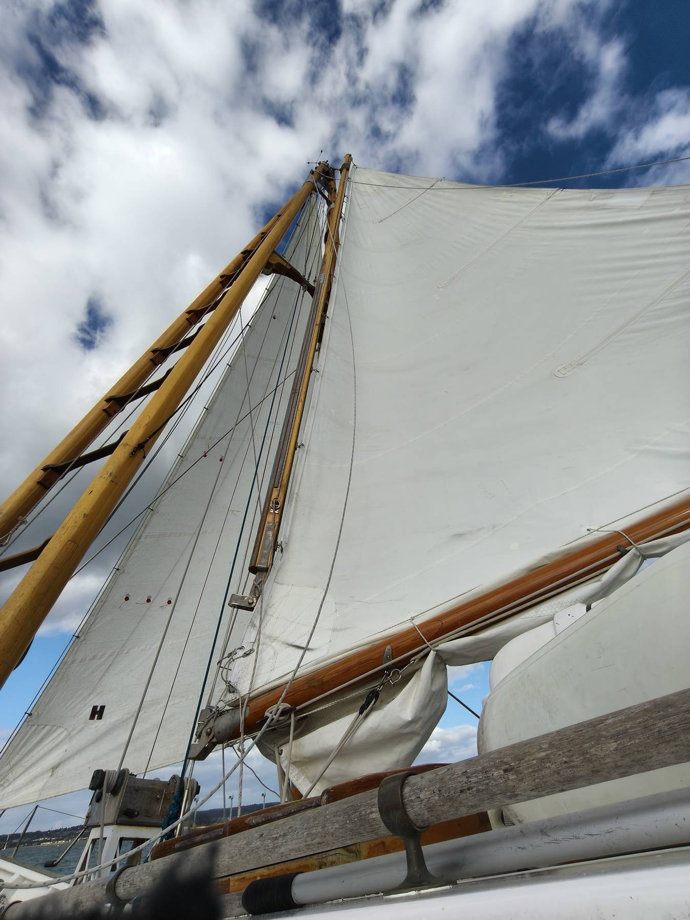 Learning to sail Boleh._77CECB7F-B4C8-4DC3-949E-2D91670703A8