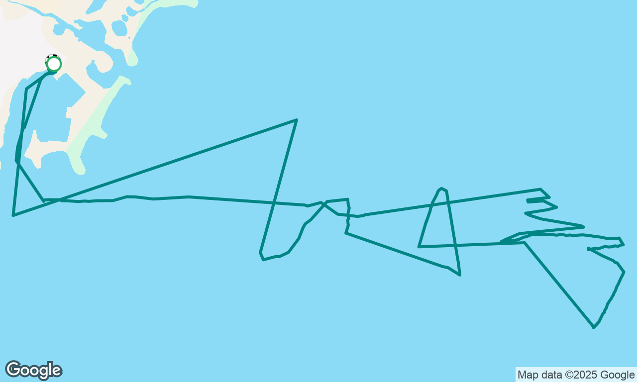 Light sail for airshow