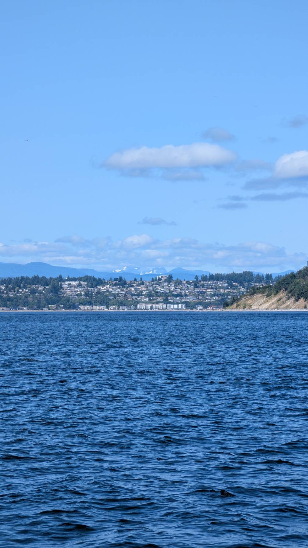 Day 6 - Heriot Bay to Campbell River_3CDC7DD8-F7B0-44FB-81BC-E848CF15ABD0