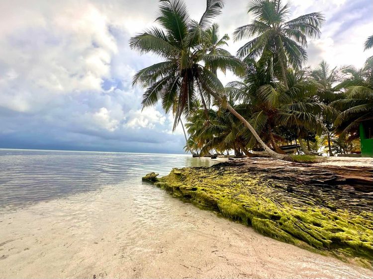 Voyage photo from Lemons to Esnesdup