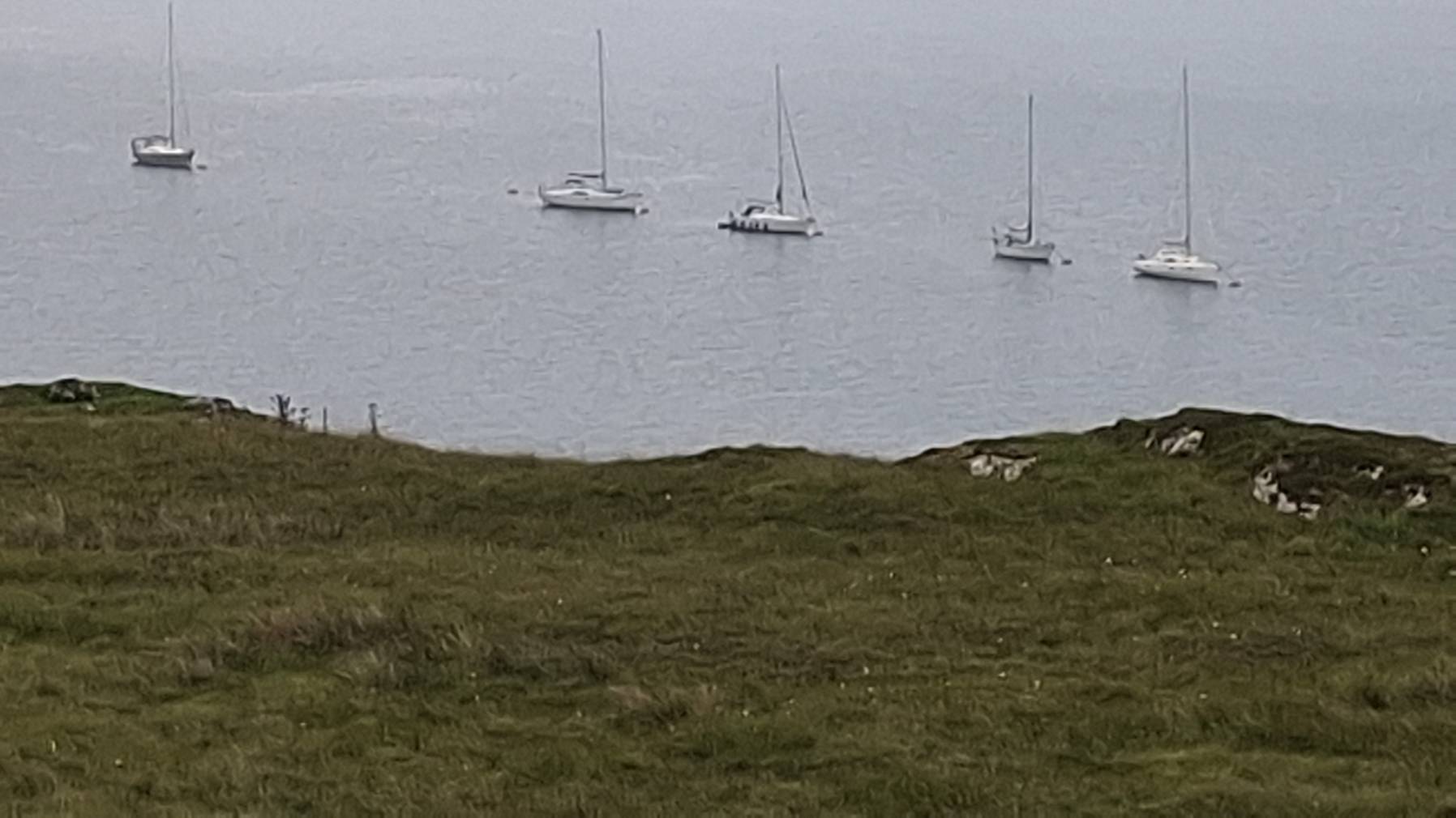 Treshnish to Collensey, via Tinker's hole._66155AFE-41D7-4521-A430-A0C6FD8D008D