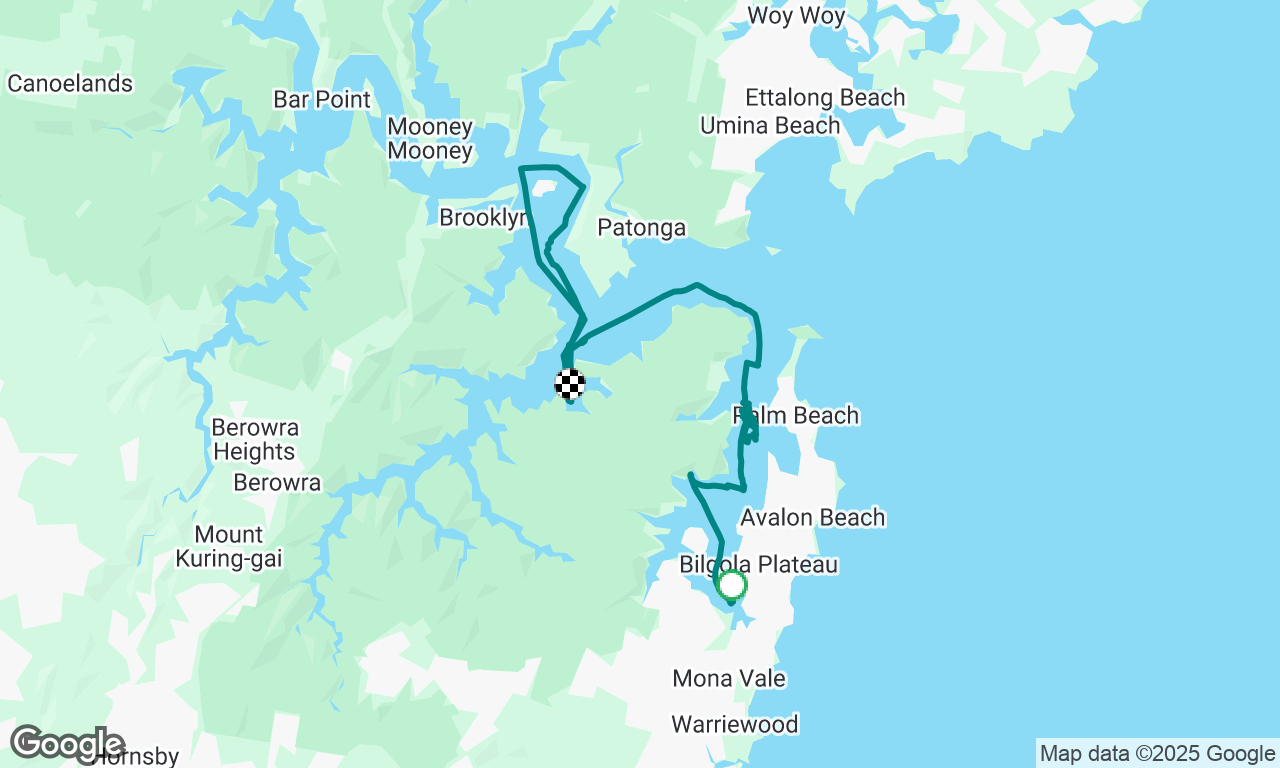 Coastal Skipper
Day 3