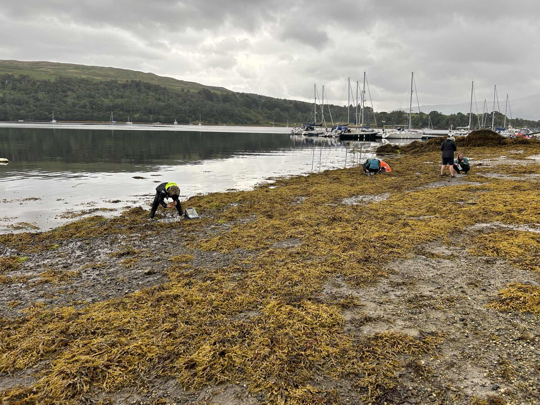 Heading South via the Crinan Canal_459D0CE8-3FA0-4F28-96F7-C8DF72C43EA2