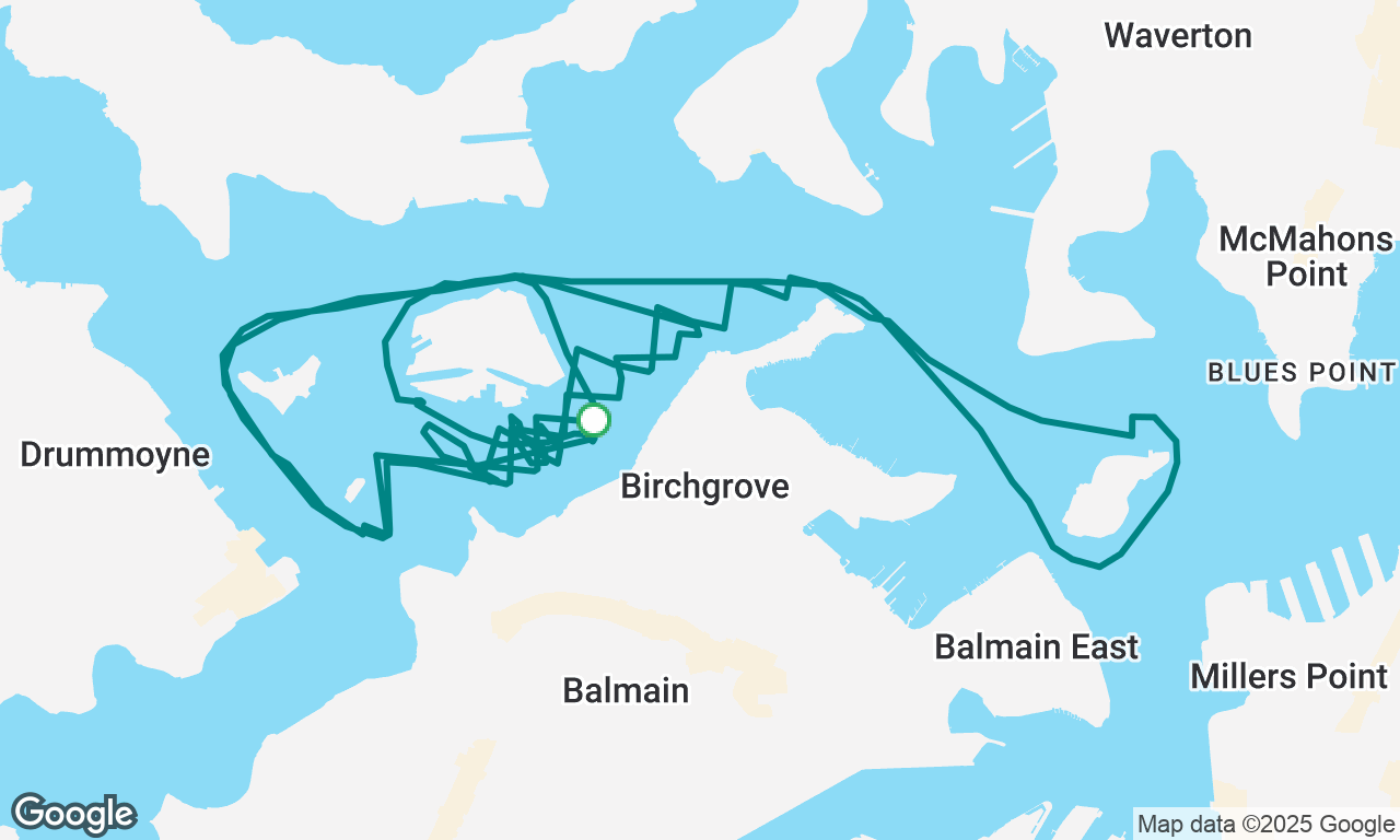BSC PRE-CHRISTMAS TWILIGHT SERIES 8