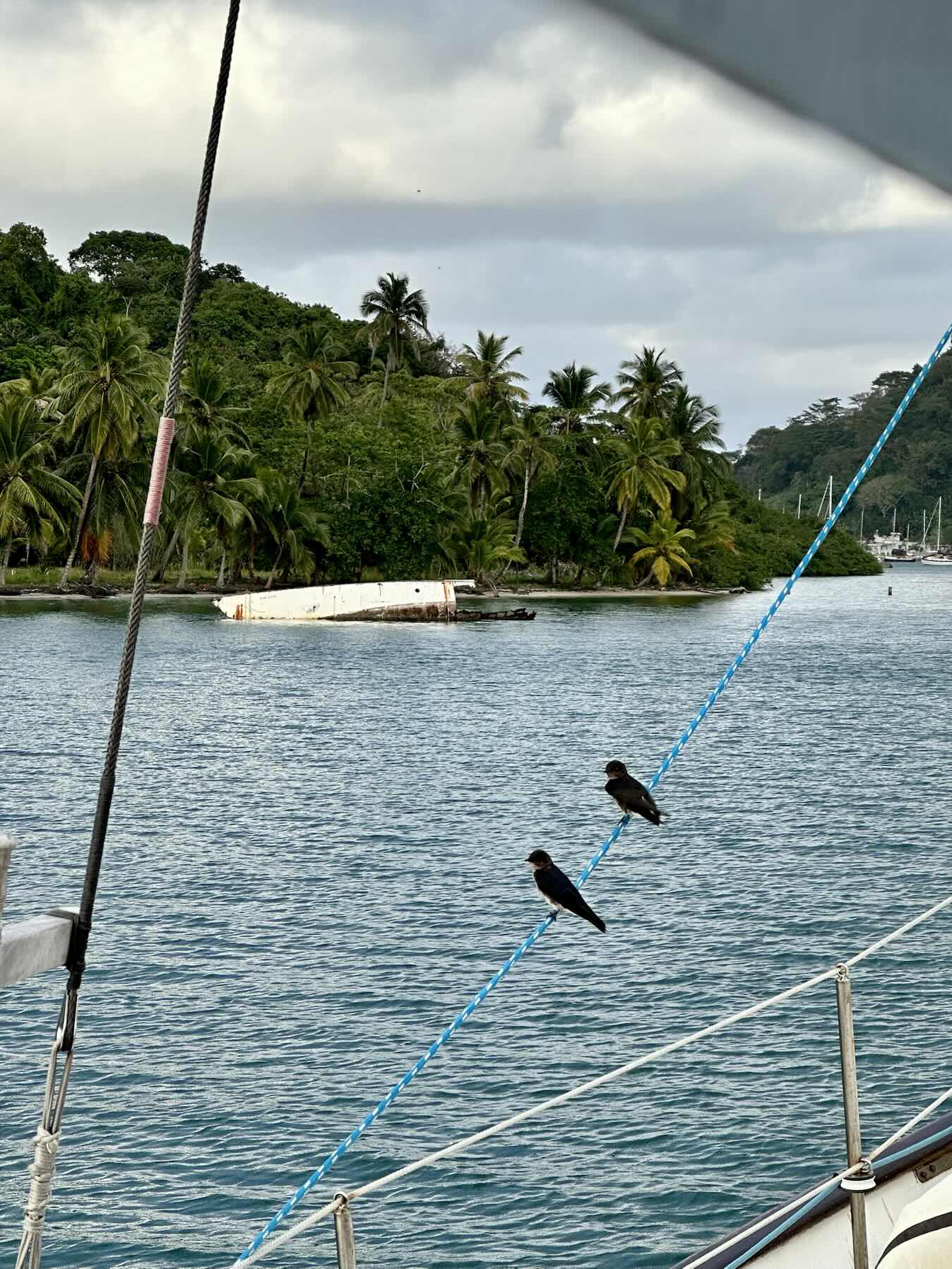 Guna Yala to Linton Bay. _029461A5-0ED7-4174-9F9F-A6DA64F344D0