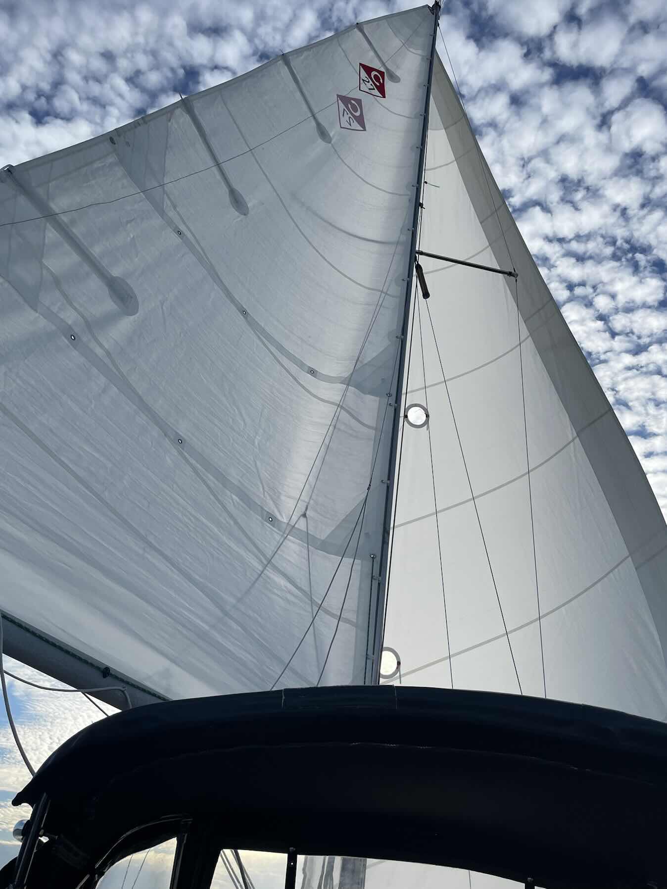 Thursday Night Coop Sail_C2AC2F28-F5E1-4DAB-AA88-E200656B5682