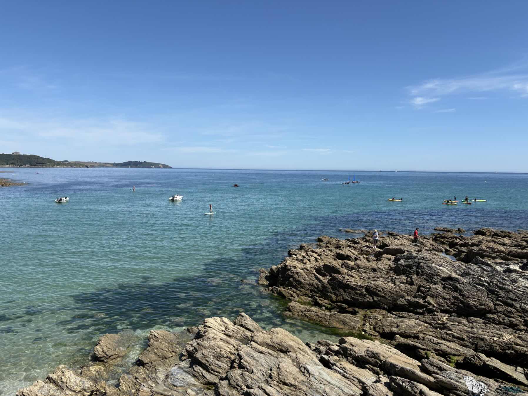 Sunny Swanpool. _FDAAD773-BB7E-46DD-B8CA-178E0A5573EA